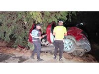 Otomobil ağaca çarptı, 2 kişi ağır yaralandı