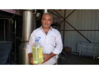 Lavantada hasat başladı: 60 kilosundan 1 kilo çıkıyor, 600 TL’ye satılıyor