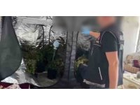 Evinde kilolarca uyuşturucuyla yakalandı, "Pahalı olduğundan kendime yetiştiriyorum" dedi