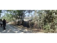 Defne’de çıkan bahçe yangını çevreye yayılmadan söndürüldü