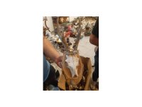 Kahramanmaraş’ta kaçak hayvan uzvu operasyonu