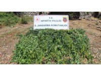 Isparta’da uyuşturucu operasyonu: Çok sayıda malzeme ele geçirildi