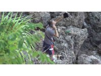 Tasmasından kurtulan köpek 20 metrelik kayalıklardan aşağı düştü