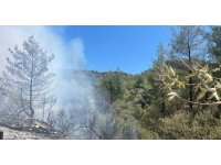 Mersin Silifke’de orman yangını