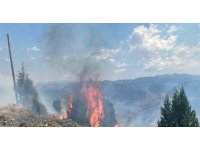 Alanya’da makilik alanda çıkan yangın ormana sıçramadan söndürüldü