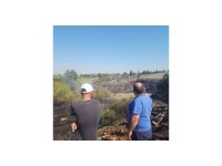 Zeytinlikte çıkan yangın evlere ulaşmadan söndürüldü