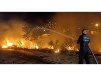 Asi nehri kenarında çıkan yangın söndürüldü