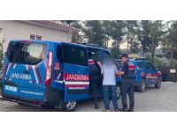Üzüm bağları arasında uyuşturucu yetiştirmişler: 2 tutuklama