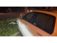 Palmiye ağacına otomobil çarptı: 1 yaralı