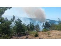 Mut’ta orman yangını büyümeden söndürüldü