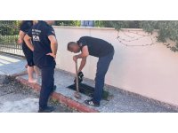 Mazgalda mahsur kalan köpeği itfaiye ekipleri kurtardı