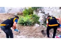 Toprağın altından cephanelik çıktı