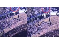 Freni patlayan yolcu midibüsünün otogar içine düşme anı kamerada