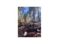 Burdur’da yıldırım düşmesiyle çıkan orman yangını ekiplerin hızlı müdahalesi ile söndürüldü