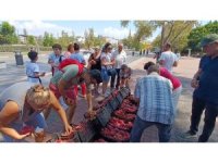 Aracılara kızan üretici 2 bin adet Ejder meyvesini bedava dağıttı