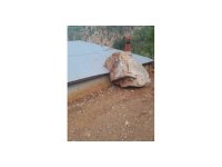 Adana’da evin üzerine kaya düştü