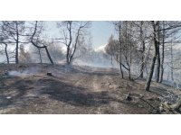 Kahramanmaraş’taki orman yangını büyük ölçüde kontrol altına alındı