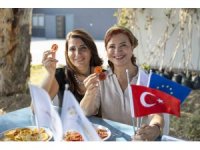 Yenilenebilir enerjiyle kurutulan ürünler ulusal pazarda yer buldu