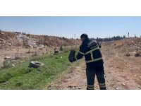 İş yerine giren yılan yakalanarak doğaya bırakıldı