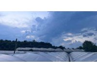 Antalya’da serada çalışırken elektrik akımına kapılıp ağır yaralanan gençten kötü haber