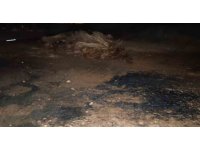 Ev yangını ihbarına giden itfaiye yanan susamlarla karşılaştı