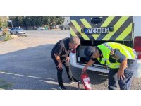 Jandarma Gazipaşa’da okul servislerini denetledi