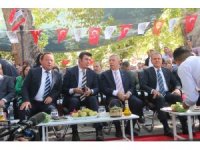 Mut Zeytin ve Zeytinyağı Festivali coşkulu başladı