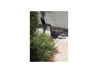 75 yaşındaki adamı acımasızca darp etti, o anlar kameraya yansıdı