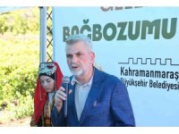 Kahramanmaraş’ta geleneksel Bağbozumu Günleri