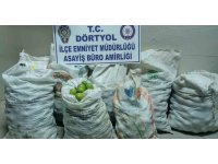 Narenciye bahçesinden 350 kilo mandalina çalan 2 şahıs tutuklandı