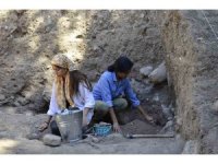 Yeni tip kaplıca buğdayın en eski kalıntıları sadece Anadolu’da tespit edildi