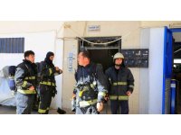 Bodrum katta çıkan yangın sonrası yavru kedi alarmı