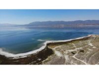 Burdurlu Gazeteciler kuraklıkla boğuşan Burdur Gölü’nü kurtarmak için fidan dikti