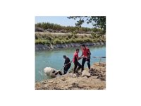 Sulama kanalına düşen ineği itfaiye kurtardı