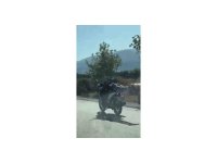 Seyir halindeyken motosikletin üzerine yatarak ’ölümüne’ yolculuk