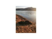 Balık tutmaya gittiği yerde aracıyla göle düşen şahıs hayatını kaybetti