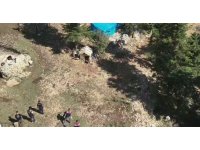 Ormanlık alanda uyuşturucu yetiştiren şüpheliler suçüstü yakalandı