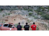 Keçilere kurtarma operasyonu düzenlendi, gerçek başka çıktı