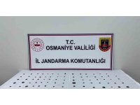 Osmaniye’de tarihi eser operasyonu: 89 adet sikke bulundu