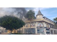 İş yerinden palmiyeye sıçrayan yangın korkuttu