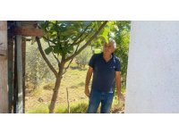 10 yıldır beslediği cins tavuklarını çaldıktan sonra kesip sattılar