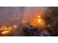 Burdur’da çıkan orman yangını kontrol altına alındı