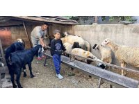 Arabasını satarak hayvancılığa başlayan depremzede baba ve böbrek hastası 2 evladının umudu olan 22 koyunu polis ekipleri buldu