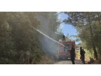Antakya’da orman yangını kısa sürede söndürüldü