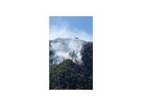 Kahramanmaraş’ta sarp arazideki yangın 3 gündür sürüyor