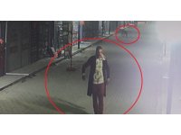 Akılalmaz olay: İş yerinin kapısını açıp kedileri köpeklere parçalattı