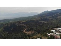 Orman yangınında küle dönen alan drone ile görüntülendi