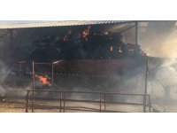 Kaynak makinesinden çıkan yangında 750 saman balyası kül oldu