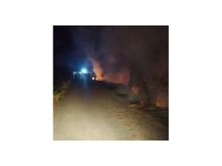 Dörtol’da orman yangını