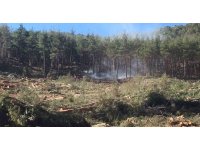 Burdur’da kesim sahasındaki orman yangınında 3 dönümlük alan yandı